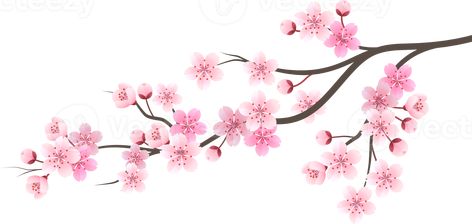 Japanese Flower Art, Mother Daughter Art, Leaves Png, Cherry Blossom Flower, Japanese Flower, Sakura Flower, Sakura Cherry Blossom, Cherry Blossom Flowers, Flower Logo