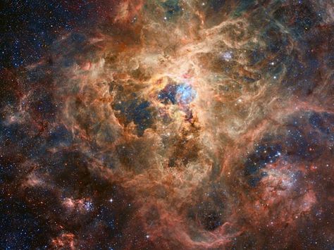 Robert Gendler photo of the the Tarantula nebula: A vast and magnificent star birth factory. Tarantula Nebula, Telescope Hubble, Astronomy Pictures, Giant Star, Hubble Images, Star Formation, Orion Nebula, Andromeda Galaxy, Hubble Space