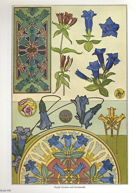 Art Nuevo Illustration, Art Nouveau Elements, Art Nouveau Flowers Illustration, Art Nouveau Design Pattern, Nouveau Flowers, Art Nouveau Tattoo, Plant Sketches, Mucha Art, Art Nouveau Illustration