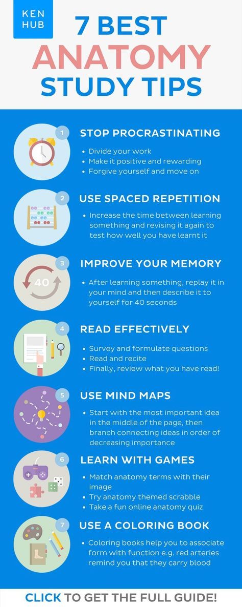 How To Memories Study, Memorization Tips Studying, Anatomy Study Tips, Study Tips For High School, Best Study Techniques, Studying Anatomy, Study Anatomy, Studera Motivation, Exam Study Tips