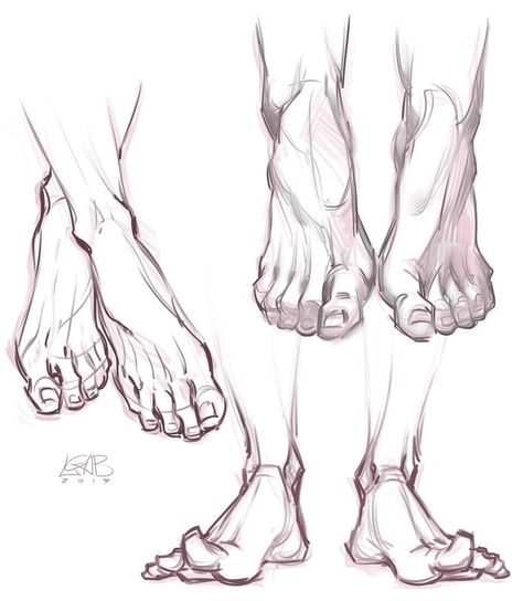 Feet Drawing, Human Anatomy Drawing, Human Anatomy Art, Anatomy Sketches, Anatomy For Artists, Figure Sketching, Anatomy Drawing, Art Courses, Figure Drawing Reference