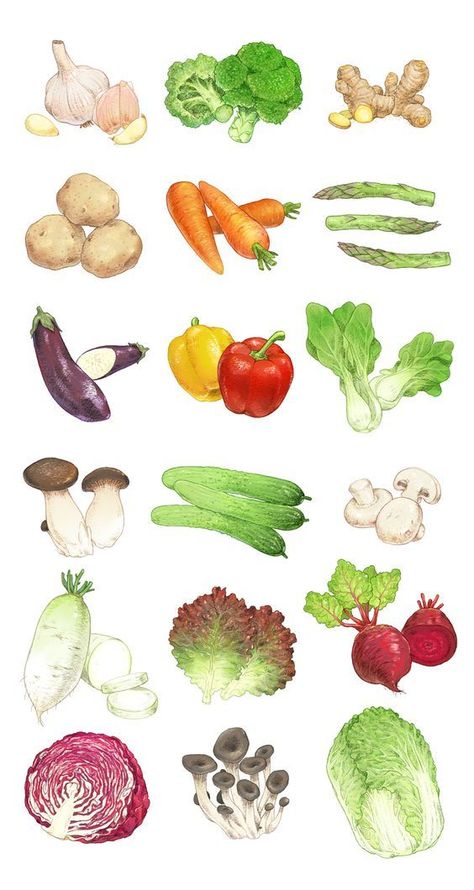 Vegetable Drawing, Vegetable Illustration, Food Sketch, Watercolor Food, Fruit Illustration, Food Illustration, Food Drawing, Fruit And Veg, Food Illustrations