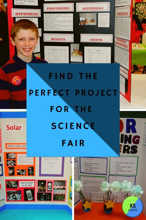 Find the perfect winning project with these simple and creative ideas.  They can easily be turned into a unique experiment.  Projects are great for middle school and elementary school.  They projects are geared for the first time science fair participant.  Parents will love the ease of use. Science Fair Ideas 3rd Grade, Jr High Science Fair Projects, Science Fair Projects For Elementary 3rd, Maker Faire Projects For Kids, Steam Fair Projects For Kids, Lego Science Fair Projects, Science Fair Experiments Elementary, Science Projects Middle School, Middle School Science Fair Project Ideas