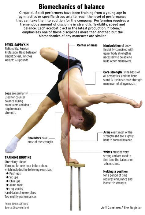 biomechanics of balance Biomechanics Study, Human Biomechanics, Wing Chu, Human Muscle Anatomy, Exhibition Ideas, Balance Yoga, Research Poster, Muscle Anatomy, Body Movement