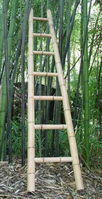 Bamboo Ladder /various heights Bamboo Furniture Diy, Bamboo Ladder, Bamboo Ladders, Bamboo Diy, Bamboo Building, Backyard Garden Layout, Rustic Backyard, Bamboo Structure, Bamboo Architecture