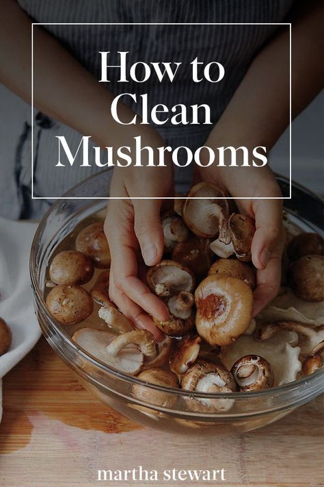 Mushroom Stock Uses, Mushrooms You Can Eat, Clean Mushrooms How To, How To Wash Mushrooms, Tacos Appetizers, Moral Mushrooms, Best Mushroom Recipes, How To Clean Mushrooms, Mushroom Meals