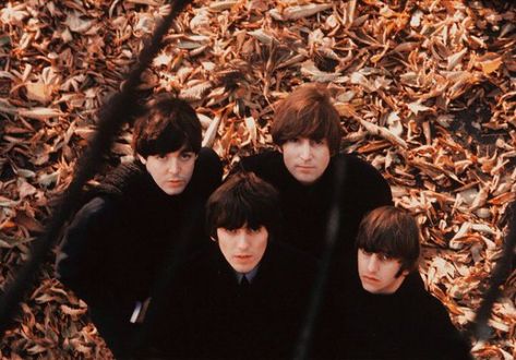 Robert Freeman, Beatles Albums, Beatles Love, Beatles Music, Beatles Photos, John Lennon Beatles, Beatles John, Twist And Shout, Rock And Roll Bands