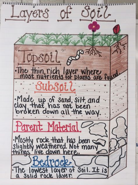 Layers of Soil Anchor Chart Earth Science Notes, Elementary Anchor Charts, Science Activities For Elementary, Layers Of Soil, Elementary Earth Science, Earth Science Middle School, Notes Science, Earth Science Projects, Aesthetic Earth