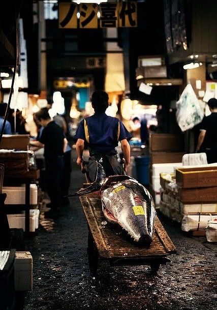 Tsukiji Fantasy Objects, Tsukiji Fish Market, All About Japan, Turning Japanese, Tsukiji, Go To Japan, Fish Market, Tokyo Travel, Visit Japan