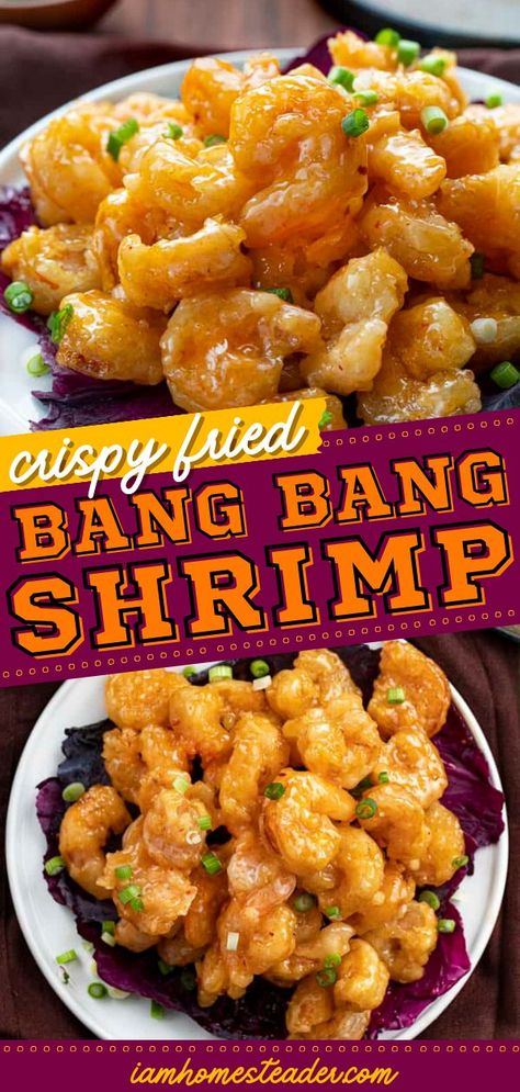 Bang Bang Shrimp Recipe, Bang Bang Shrimp, Delicious Seafood Recipes, Best Seafood Recipes, Shrimp Recipes For Dinner, Easy Seafood, Easy Seafood Recipes, Shrimp Recipes Easy, Shrimp Dishes