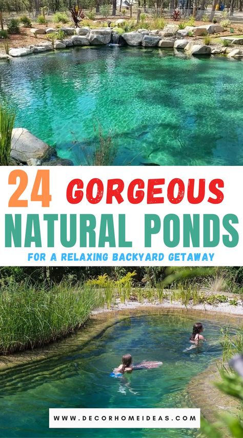 Best Natural Swimming Ponds Ideas Natural Pond Swimming Pool, Natural Swim Ponds, Natural Pool Ideas Swimming Ponds, Small Swimming Ponds Backyard, Diy Natural Pond, Pool Ponds Backyard, Pond Pool Ideas, Pool Pond Ideas, Living Pool Pond