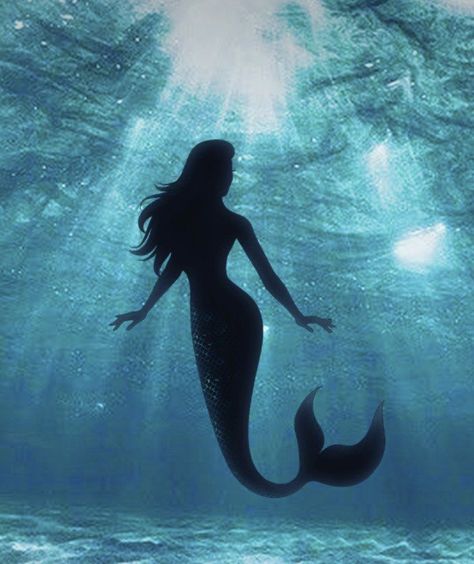 Fantasy Story Ideas, Mermaid Photography, Mermaid Man, H2o Mermaids, Siren Mermaid, Mermaid Pictures, Mermaid Aesthetic, Mermaid Dreams, Mermaid Inspired