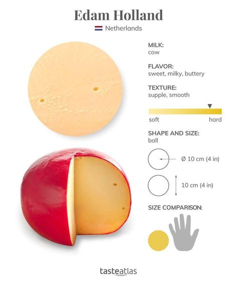 Edam Cheese Recipes, Cheese Infographic, 1800s Food, Taste Atlas, Edam Cheese, Culinary Lessons, Dutch Cheese, Cheese Trays, Culinary Cooking