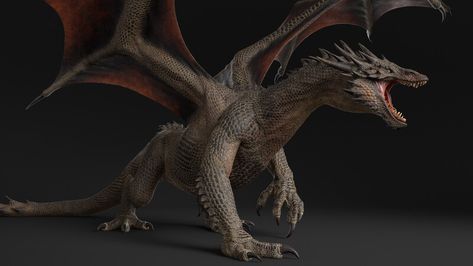 ArtStation - Red Dragon Iron Dragon, Game Of Thrones Artwork, Ancient Dragon, Dragon Tales, Fantasy Beasts, Beautiful Dragon, Dragon Rider, Dragon Pictures, Dragon Games