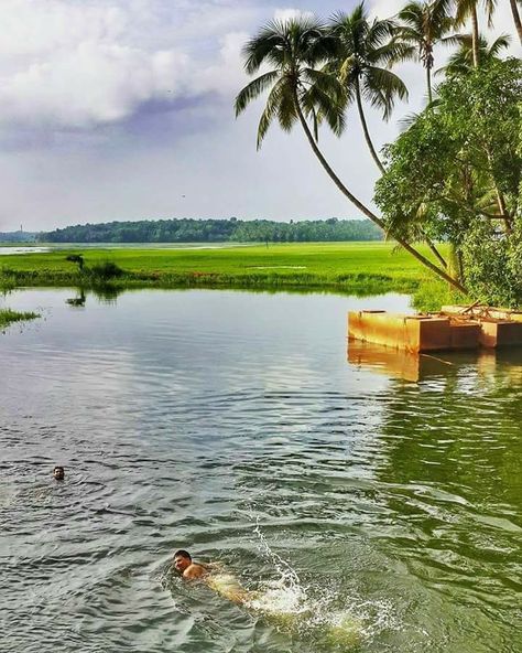 Natural beauty ... Good morning  kerala,, God's own country. Good Morning Kerala, Paid Promotion, God's Own Country, Kerala Tourism, Waterfall Photography, River Boat, Beautiful Memories, South India, Staying In