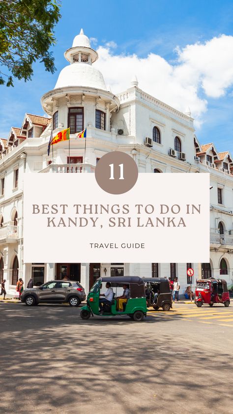 Discover 11 best things to do in Kandy and plan your perfect trip to Sri Lanka. Be sure to include some of these activities in your bucket list. Things To Do In Sri Lanka, Sri Lanka Travel Places To Visit, Kandy Sri Lanka, Sri Lanka 7 Days, Rare Species Of Animals, Things To Fo, Kandalama Hotel Sri Lanka, Sri Lanka Sigiriya, Kandy