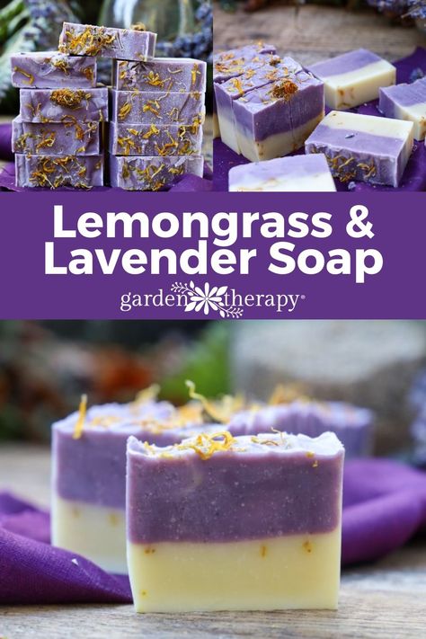 This lemongrass and lavender deodorizing soap tackles tough odours, naturally! With a balanced blend of olive and coconut oil, your hands will feel soft and moisturized, left with only the bright and happy scent of lemongrass! #soap #soapmaking #deodorizing #lavender #lemongrass #essentialoils #handmade #homemade #handsoap #gardentherapy Spring Soap Recipes, Soap Topping Ideas, Milk Soap Recipe, Lemongrass Soap, Natural Soaps Recipes, Easy Soap Recipes, Cold Process Soap Recipes, Herbal Soap, Handmade Soap Recipes