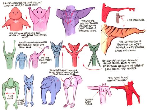 Zootopia Concept Art, Zootopia Art, Anatomy Reference, Arte Animal, Animation Design, Zootopia, Character Design References, Creature Design, Design Reference