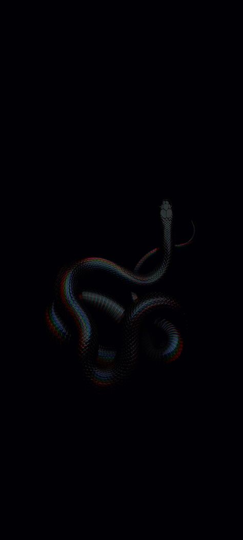 Snek Tattoo, Snake Wallpaper Aesthetic, Notion Widget, Mamba Snake, Snake Wallpaper, Hacker Wallpaper, Super Powers Art, Goth Wallpaper, Snake Art