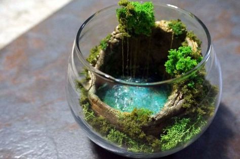 Miniature hidden cave pool (cenote) style terrarium inspired by cenote Ik-Kil, Yucatan, Mexico Jars Design, Bonsai Terrarium, Terrarium Scene, Water Terrarium, Cave Pool, Terrarium Wedding, Terrarium Jar, Succulent Landscape Design, Miniature Terrarium