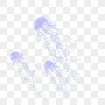 jellyfish,purple jellyfish,marine jellyfish,squid,octopus,transparent creature,submarine jellyfish,floating,plankton,octopus clipart,jellyfish clipart,submarine clipart,squid clipart Jellyfish Gif Png, Transparent Creature, Submarine Clipart, Jellyfish Transparent, Jellyfish White, Jellyfish Png, Octopus Clipart, Jellyfish Clipart, Purple Jellyfish