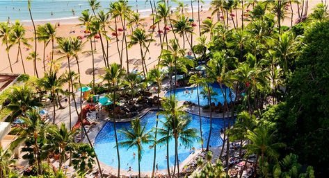 Hilton Hawaiian Village Waikiki, Honolulu Zoo, Hilton Hawaiian Village, Honolulu Waikiki, Hawaii Hotels, Hawaiian Vacation, Waikiki Beach, Hawaiian Wedding, Honolulu Hawaii