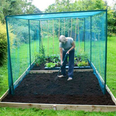 How to Choose the Ideal Fruit Cage for Your Garden | GardenSkill Fruit Cages, Fruit Cage, Fruit Bushes, Citrus Plant, Bird Netting, Garden Netting, Plant Protection, Growing Fruit, Love Garden