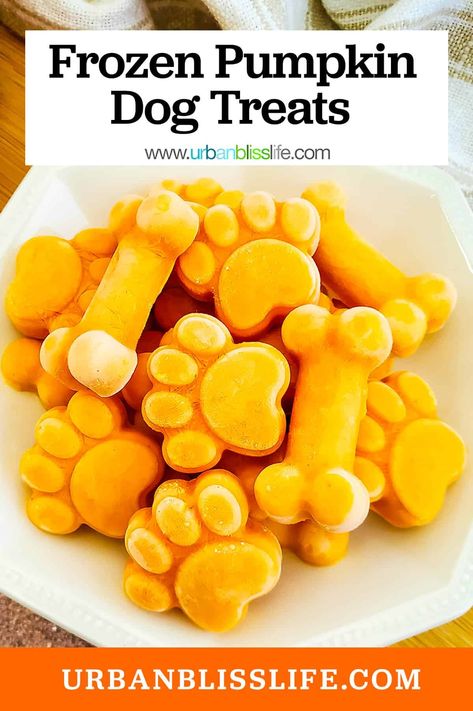 With just two simple ingredients, you can make these homemade frozen pumpkin dog treats for your special pup! Get the easy dog treat recipe from UrbanBlissLife.com. Frozen Pumpkin Dog Treats, Pumpkin Frozen Yogurt, Yogurt Dog Treats, Dog Treats Homemade Pumpkin, Pumpkin Yogurt, Homemade Dog Cookies, Pet Treats Recipes, Healthy Treats Recipes, Easy Dog Treat Recipes