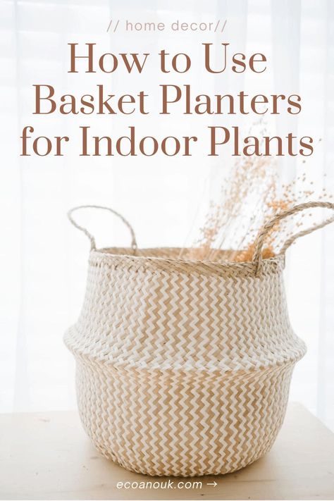 Diy Plant Basket, Basket Planters Indoor, Sustainable Furniture Design, Plants In Baskets, Planters Indoor, Indoor Living Room, Wicker Planter, Garden Basket, Basket Decor