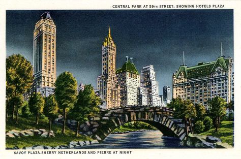 1940's postcard. Central Park at 59th. shows Savoy Plaza, Sherry-Netherlands, Pierriero Central Park At Night, Park At Night, Antique Room, New York City Buildings, Nyc History, Night Sights, Deco Architecture, Steel City, Classic Architecture