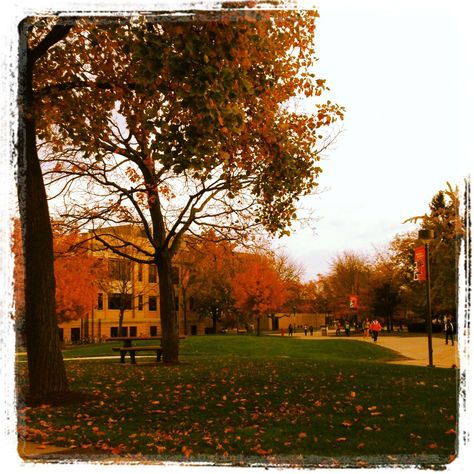 Walking on campus on a beautiful fall day in Bowling Green, Ohio Aesthetic Walking, Bowling Green Ohio, Campus Aesthetic, Bowling Green, Fall Day, Autumn 2024, Autumn Day, Best Memories, New Chapter