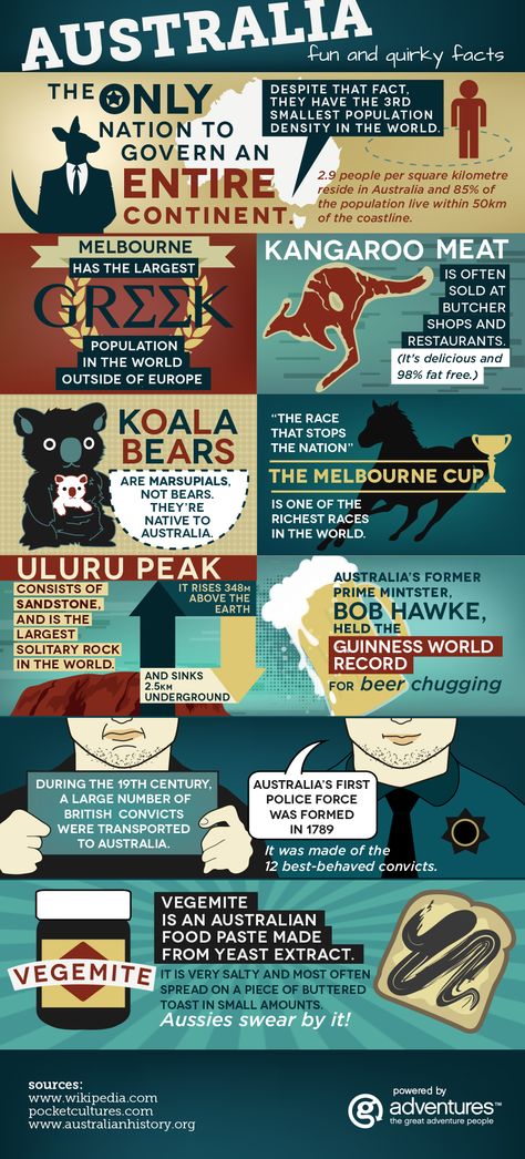 Fun and Quirky Facts About Australia [Infographic] Australia Infographic, Fun Facts About Australia, Australia Humor, Australia Fun Facts, Facts About Australia, Australia Facts, Types Of Animals, Australia Day, G Adventures