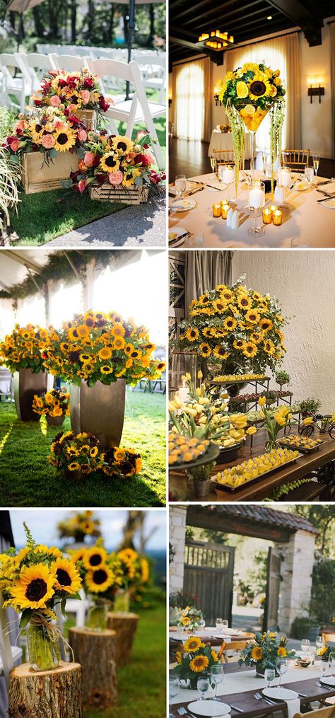 Sunflower Centerpieces Diy Wedding, Backyard Wedding Sunflowers, Sunflower Backyard Wedding, Head Table Sunflower Wedding, Sunflower Floral Arrangements Wedding, Sunflower Arrangements Wedding, Sunflower Arch Wedding, Sunflower Wedding Theme Rustic, Sunflower Flower Arrangements