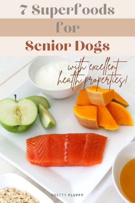 List Of Superfoods, Excellent Health, Super Foods List, Senior Dog Food Recipes, Make Dog Food, Dog Health Tips, Superfood Recipes, Senior Dogs, Natural Dog Food