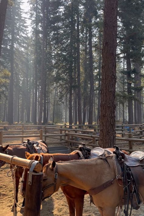 Western Nature Aesthetic, Mountain Ranch Aesthetic, Country Cowgirl Aesthetic, Western Luxury Home, Montana Ranch Life Aesthetic, Horse Barn Aesthetic, Dream Life Country, Kenna Bangerter, Ranch Life Aesthetic