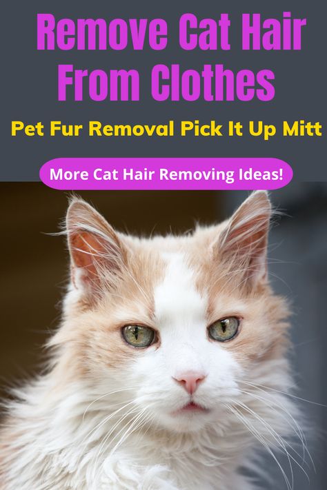 Struggling with cat hair on your clothes? Learn simple solutions to keep your outfits clean and hair-free. Check out the article now. Cat Hair Removal, Black Clothes, Interesting Topics, Cat Behavior, Cat Hair, Free Hair, Off Black, Professional Look, Fur Babies