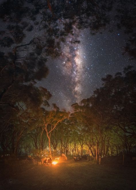 Australian Night Sky, Australian Forest, Clear Night Sky, Night Time Photography, Quiet Life, Stars At Night, Never Stop Exploring, Be Better, Milky Way