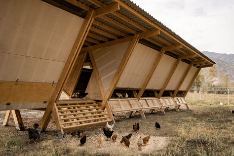 SO? builds modular House of Chickens on a farm in Turkey Chicken House Ideas Buildings, Chicken House Ideas, Rabbit Tractor, Turkey Coop, Turkey House, Reban Ayam, Chickens Coop, Wooden Hut, Poultry House