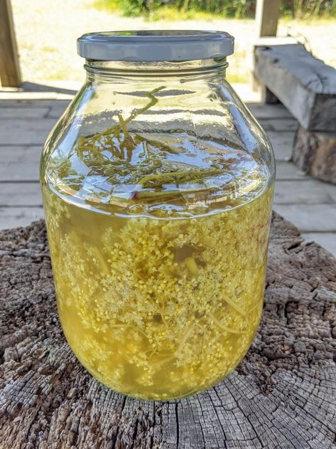 Elderflower Cordial Recipe, Elderflower Recipes, Cordial Recipe, Fairy Food, Elderflower Cordial, Water Bath Canning, Boiled Egg Diet, Wild Garlic, Rose Perfume