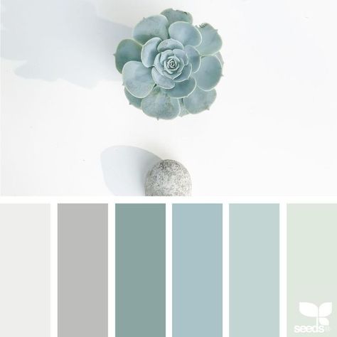 Succulent color palette. White, grey, taupe, green, teal, ocean, bluegreen. Color and design inspiration. Interior Paint Colors Schemes, Seeds Color, Paint Color Schemes, Room Color Schemes, Design Websites, Design Seeds, Interior Paint Colors, Paint Colours, Paint Colors For Home