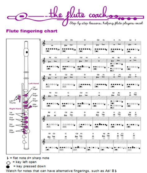 Your flute fingering chart guide: step-by-step instructions, common mistakes, and expert tips to help you learn flute notes with ease Flute Playing Tips, Learn Flute, Flute Fingering Chart, Flute Notes, Music Practice, Music Man, Step By Step Instructions, Free Printables, Step By Step