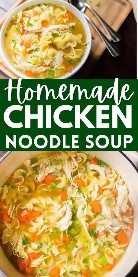 Homemade Chicken Pasta Soup, Chicken Noodle Soup With Leftover Chicken, Blended Chicken Noodle Soup, Chicken Noodle Soup With Rotini Noodles, Worlds Best Chicken Noodle Soup, Summer Chicken Noodle Soup, Rachel Ray Chicken Noodle Soup, Better Than Bouillon Chicken Noodle Soup, Homemade Campbells Chicken Noodle Soup