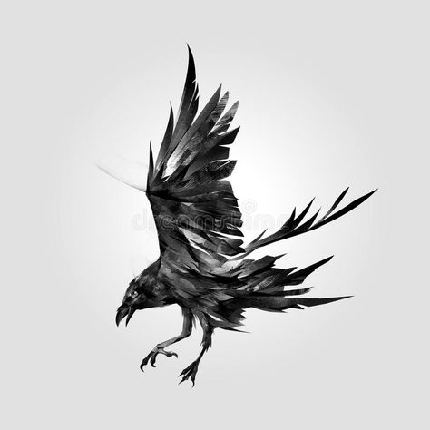 Raven In Flight, Crow Silhouette, Crow Tattoo Design, Vogel Tattoo, Crow Tattoo, Theme Tattoo, Norse Tattoo, Raven Tattoo, Crow Art