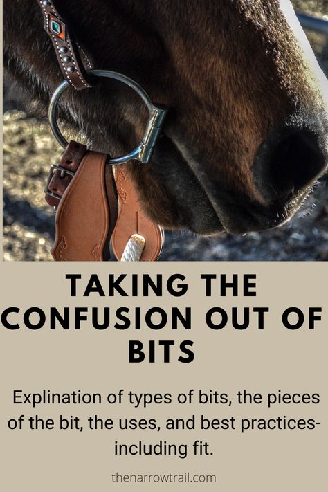 There are a lot of different bits out there and it can get really overwhelming if you don't know exactly what you are looking for and what your horse needs. We'll go over the types of bits, the pieces of the bit, the uses, and best practices- including fit. It's not near as confusing if you know what to look for and understand how the bit works. Types Of Horse Bits, Types Of Horse Bits Western, Types Of Bits For Horses, Endurance Horse Tack, Western Bits For Horses, Horse Bits Types Of, Bits For Horses, Therapeutic Horseback Riding, Horse Hacks