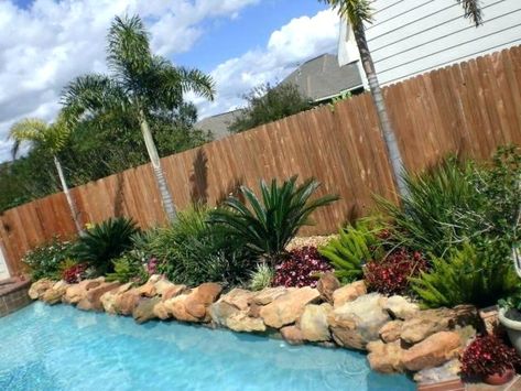 Plants Around Pool, Landscaping Around Pool, Tropical Pool Landscaping, Pool Landscaping Ideas, Tropical Backyard Landscaping, Pool Plants, Inground Pool Landscaping, Landscaping Around House, Simple Pool