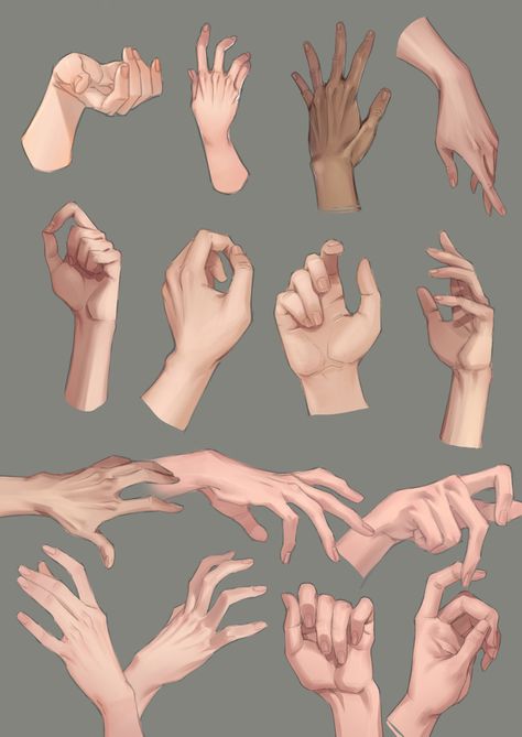 Hand Drawing Reference, Anatomy Sketches, Hand Reference, Anatomy Drawing, Digital Painting Tutorials, Body Drawing, Hand Art Drawing, Anatomy Art, Art Poses