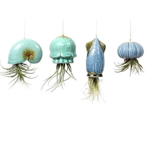 Hanging Jellyfish, Octopus Garden, Jellyfish Illustration, Jellyfish Photography, Jellyfish Decorations, Jellyfish Painting, Jellyfish Drawing, Jellyfish Craft, Plants Succulents