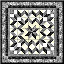 Carpenter Star Quilt, Star Black And White, Black And White Quilt, Black And White Quilts, Half Square Triangle Quilts, Easy Quilt, Quilt Care, Star Quilt Blocks, Star Black