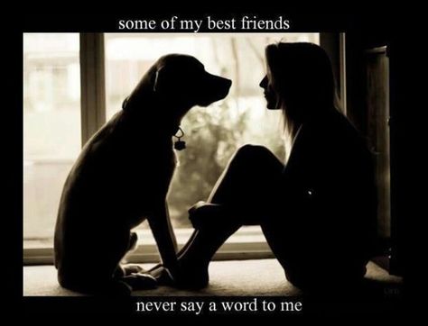 a girls best friend is her dog.. or cat 💗 Love My Dog, Border Terrier, Airedale Terrier, Shetland Sheepdog, Weimaraner, Dog Quotes, Mans Best Friend, Rottweiler, Girls Best Friend