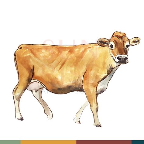 Day 3! We love Jersey cows over here. They are known for their high butterfat content in their milk, making it ideal for rich dairy products like cheese and butter. Thanks ladies! #100DaysofFarmArt #farmfreshart100 #dailyart #makearteveryday #sunriseartanddesign #dairycow Jersey Cow Drawing, Milk A Cow, Jersey Cow Art, Cow Milk Illustration, Jersey Cow Milk, Cow Milk Packaging, Jersey Cow, Sunrise Art, Dairy Cows